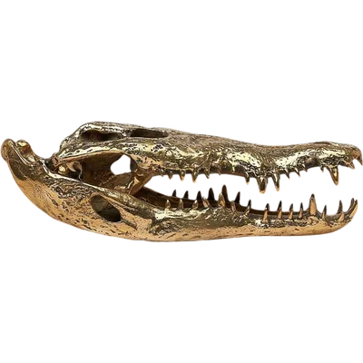 Testa di coccodrillo in bronzo dorato