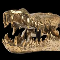 Testa di coccodrillo in bronzo dorato
