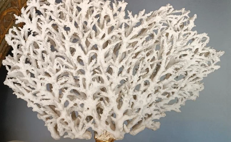 Antique white coral on lacquered base