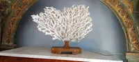 Antique white coral on lacquered base