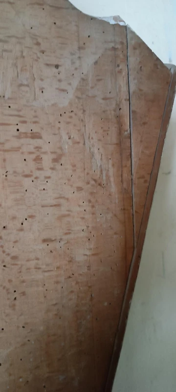 Antica teca  , vetrina , in legno laccato a finto marmo , XVIII secolo Marche Italia