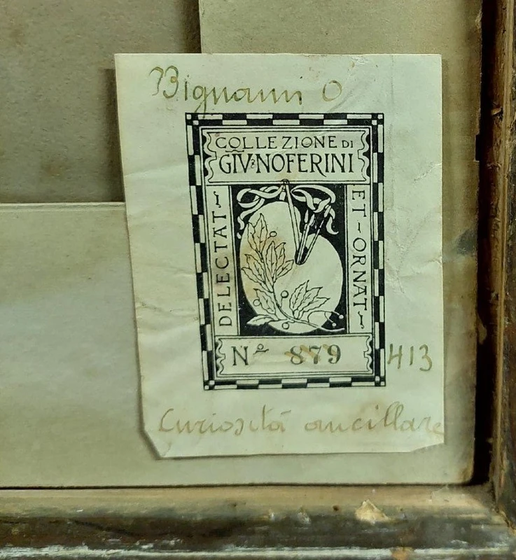disegno antico Bifronte Osvaldo Bignami -Lodi,  1856 – Civate, 1936)