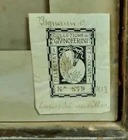 disegno antico Bifronte Osvaldo Bignami -Lodi,  1856 – Civate, 1936)