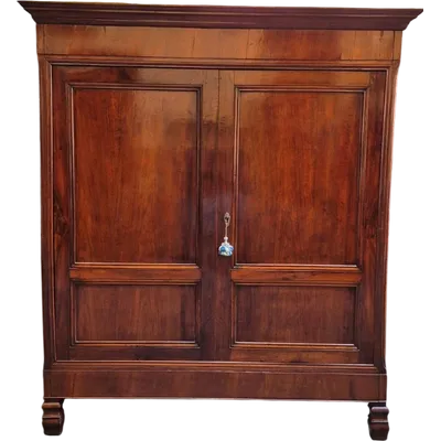 Antique Lombard panelled walnut closet from the 1800s.